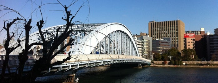 永代橋 is one of 歴史的建造物(Tokyo).