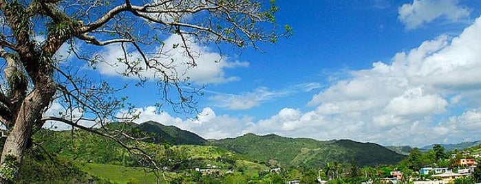 Aibonito is one of Towns in Puerto Rico.