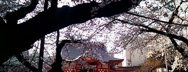 花園神社 is one of #SHRINEHOPPERS.
