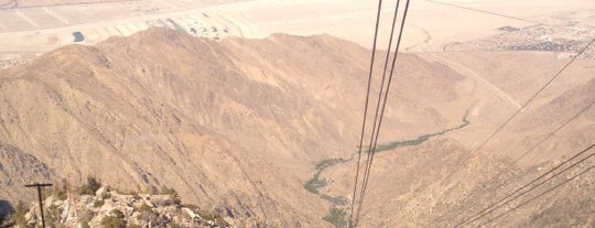 Mount San Jacinto State Park is one of Fear and Loathing in America.