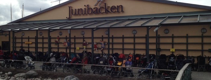 Junibacken is one of Summer Places.