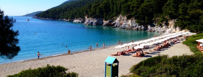 Kastani Beach is one of Skopelos Beaches.