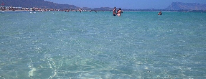 La Cinta is one of Spiagge della Sardegna.