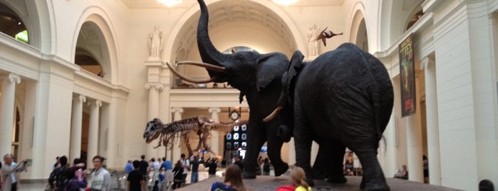 The Field Museum is one of Chicago.