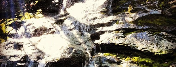 Appalachian Trail / Race Brook Falls is one of Tempat yang Disukai jess.