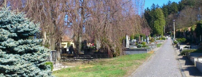Hřbitov is one of Místa v Napajedlích.