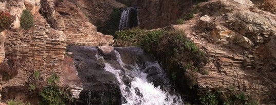 Alamere Falls is one of Waterfalls.