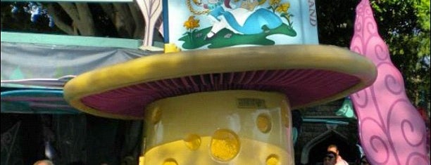 Alice in Wonderland is one of Disney rides.