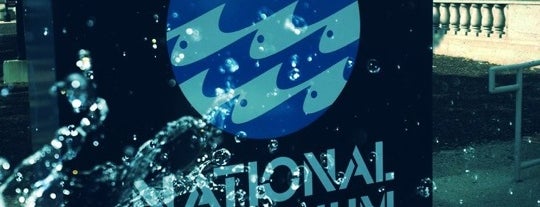 National Aquarium is one of DC Summer..