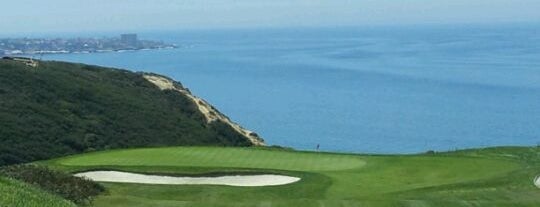 Torrey Pines Golf Course is one of San Diego.