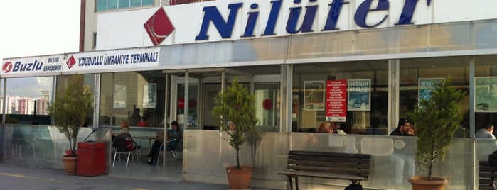 Nilüfer Turizm is one of ESRA👑 : понравившиеся места.