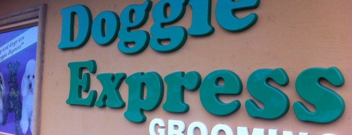Doggie Express Grooming is one of My favs.