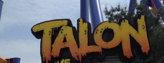 Talon: The Grip of Fear is one of DORNEY PARK.