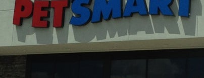 PetSmart is one of Stores.