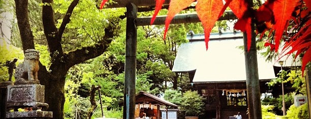 報徳二宮神社 is one of 別表神社 東日本.
