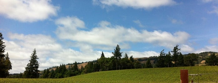 Toulouse Vineyards is one of MENDOCINO, CA.