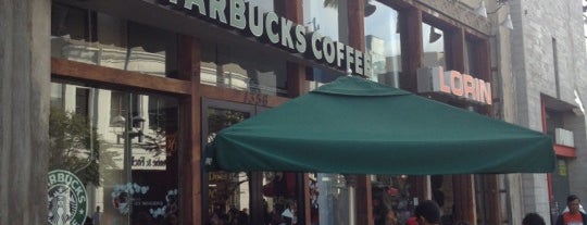 Starbucks is one of 미국 여행, 2013.