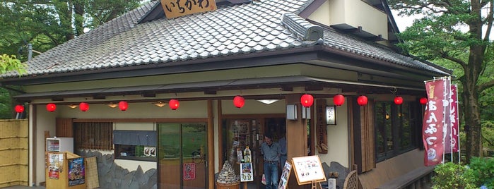 岡崎公園 隠居廊跡 いちかわ is one of グレート家康公「葵」武将隊.