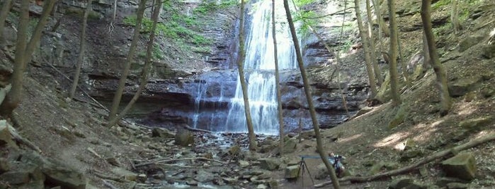 Sherman Falls is one of Local excursions.