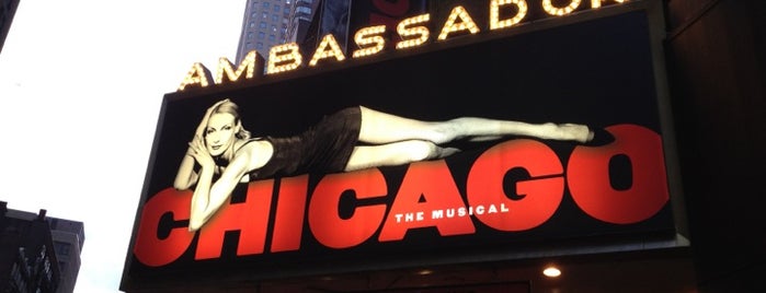 Ambassador Theatre is one of Best Musicals and Theaters in NYC.