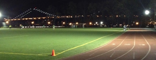 East River Park Track is one of Everything I Love In NYC.