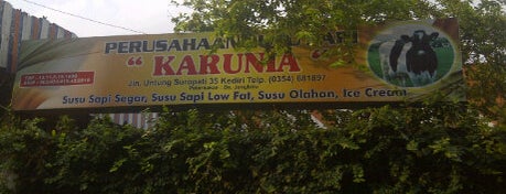 prshaan susu sapi Karunia is one of Kediri.