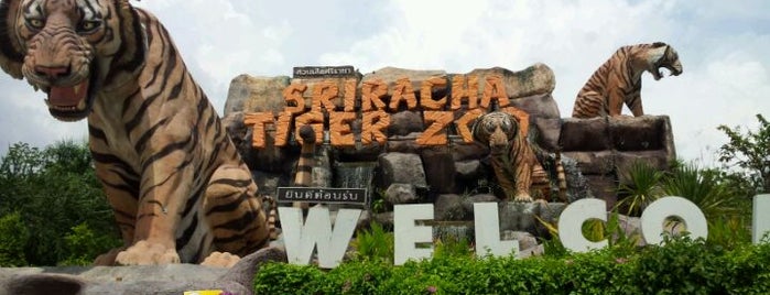 Sriracha Tiger Zoo is one of Guide to the best spots in chonburi.|เที่ยวชลบุรี.