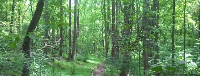 Hemlock Overlook Regional Park is one of Tempat yang Disimpan kazahel.
