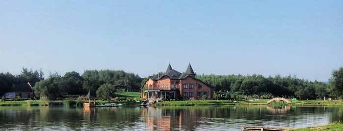 База відпочинку "Шепільська" is one of Tempat yang Disukai Dmytro.