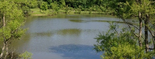 The Pond is one of Parks & Playgrounds.