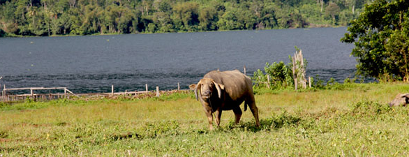 Danau Ranau is one of Kratonpedia-Trip (Jalan-Jalan).