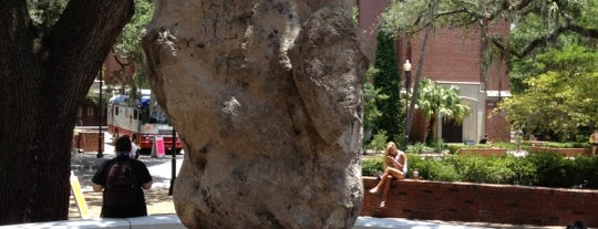 Turlington Rock is one of Places to see around campus.