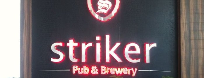 Striker Pub & Brewery is one of Beer in Delhi.