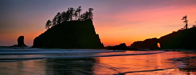 La Push is one of Seattle todo.