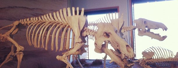 Agate Fossil Beds National Monument is one of Places to See - Nebraska.