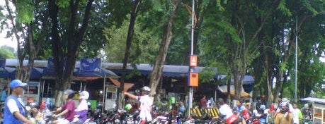 Car Free Day Darmo is one of Sparkling Surabaya.