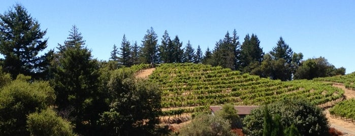 David Bruce Winery is one of Vineyards.