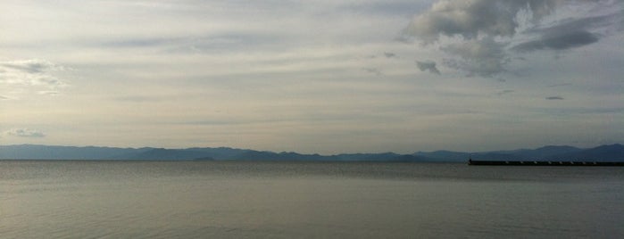 Lake Biwa is one of ラムサール条約登録湿地(Ramsar Convention Wetland in Japan).