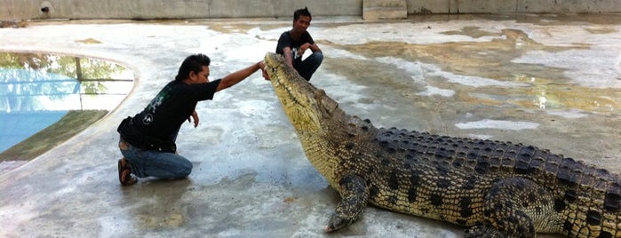 Crocodile Farm is one of Langkawi, Thailand.
