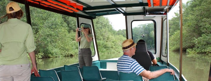 Jose's Crocodile River Tour is one of Top 10 places to try this season.