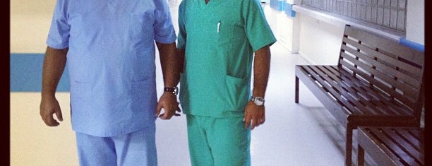 Dr. Burhan Nalbantoğlu Devlet Hastanesi is one of Eylul.