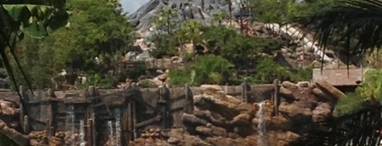 Parque Acuático Disney's Typhoon Lagoon is one of I  2 TRAVEL!! The ATLANTIC COAST✈.