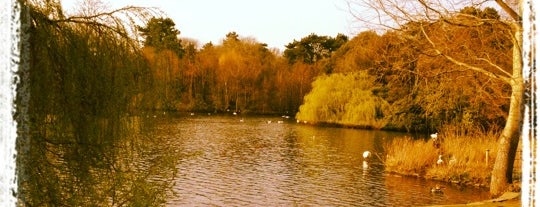 Roath Park is one of Guide to Cardiff's best spots.