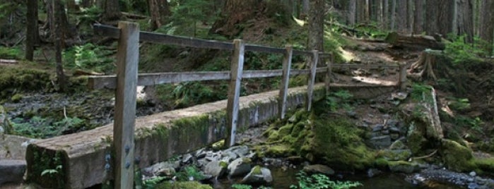 Hoh Rainforest is one of Seattle.