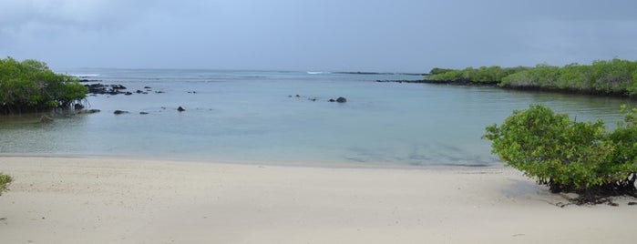 Playa de los Alemanes is one of Wish List South America.