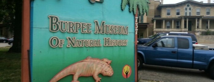 Burpee Museum Of Natural History is one of Rockford, IL.