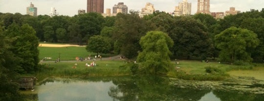 Central Park Beach Volleyball is one of My Spots.