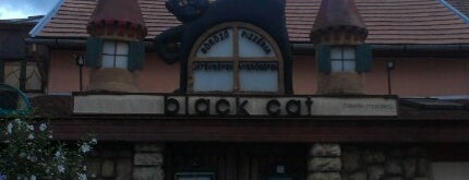 Black Cat Cafe is one of Budapest.