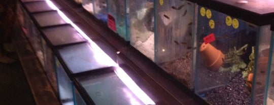 Aquatics Unlimited is one of Fav Aquarium Shops.