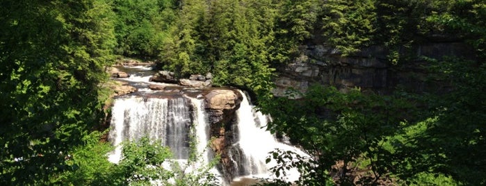 Blackwater Falls State Park is one of Parks, Gardens & Wineries.
